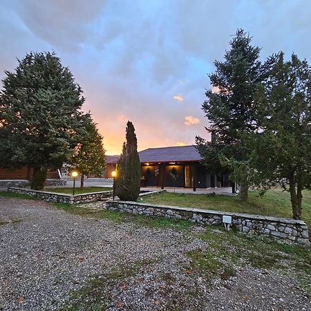 Orino Livadi Mount Villa IV Arachova Extérieur photo