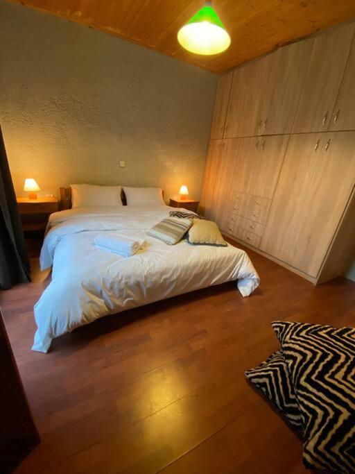 Orino Livadi Mount Villa IV Arachova Extérieur photo